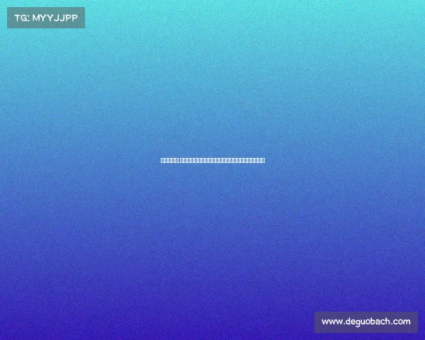 西悉尼亚冠;西悉尼年度体育盛典激情开赛，万众瞩目共享荣耀时刻